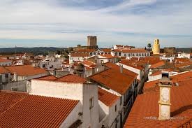 Moura avança com testes à Covid-19 a várias entidades entre 18 e 22 de maio