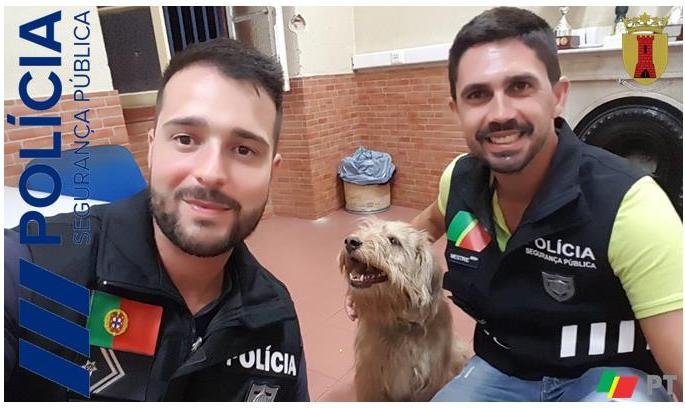 PSP Beja revela actividade operacional