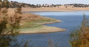 Direção-Geral de Agricultura ativa planos de contingência nas zonas mais afetadas pela seca no sul do país