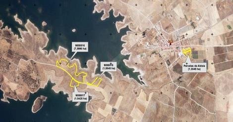 EDIA disponibiliza oito parcelas de terreno para arrendamento na Aldeia da Luz