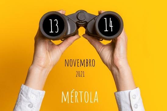 Um fim-de-semana dedicado às aves do Guadiana nos dias 13 e 14 de novembro