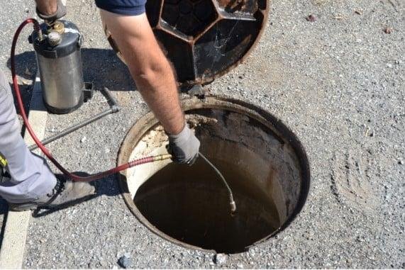 Cuba promove ação de desinfestação e prevenção de pragas