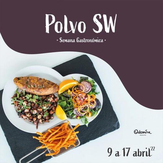 Odemira está a promover a Semana Gastronómica do Polvo