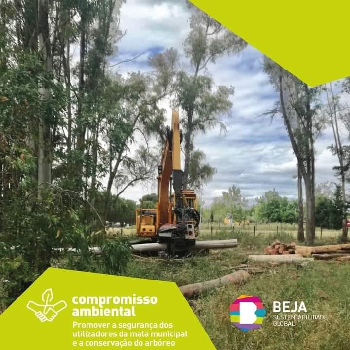 Câmara de Beja intervém na Mata Municipal