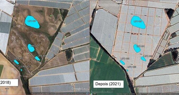 Odemira: Destruição de lagoas leva a  LPN avançar com queixa-crime junto do Ministério Público