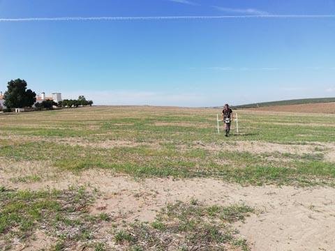 Serpa acolhe trabalhos arqueológicos durante o mês de outubro