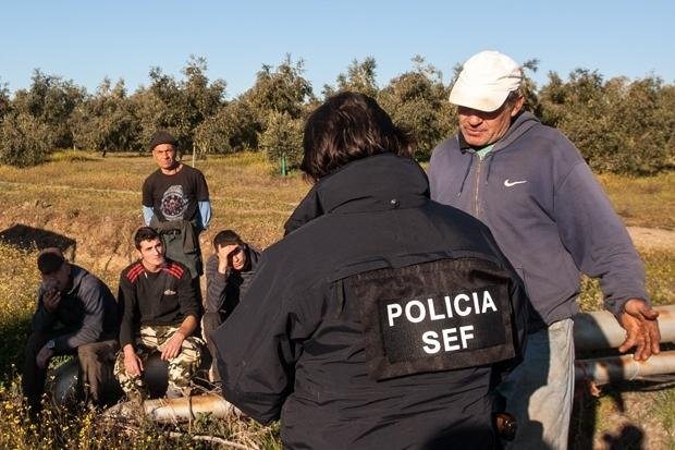 “Máfias lucram de forma brutal com os imigrantes” denuncia o presidente da Junta de Milfontes