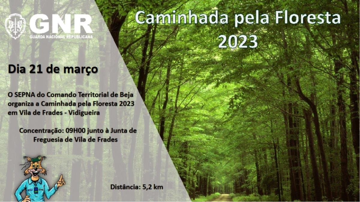 GNR promove caminhada pela floresta, em Vila de Frades
