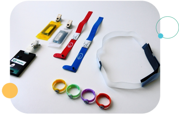 Serpa: A autarquia instala dosímetros para medir radão em locais de trabalho e prevenir riscos de cancro do pulmão