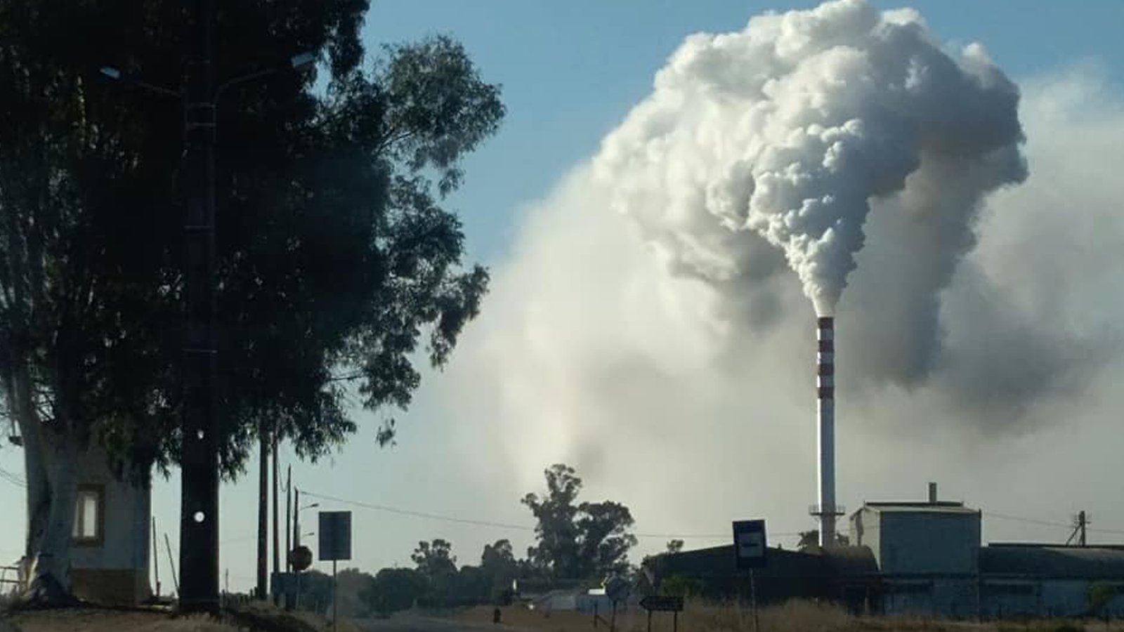 “O crime ambiental nas Fortes continua impune” lamenta Fátima Mourão