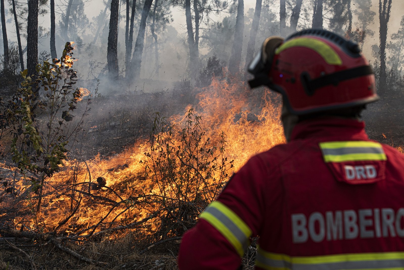Castro Verde: Incêndio agrícola em São Marcos da Ataboeira