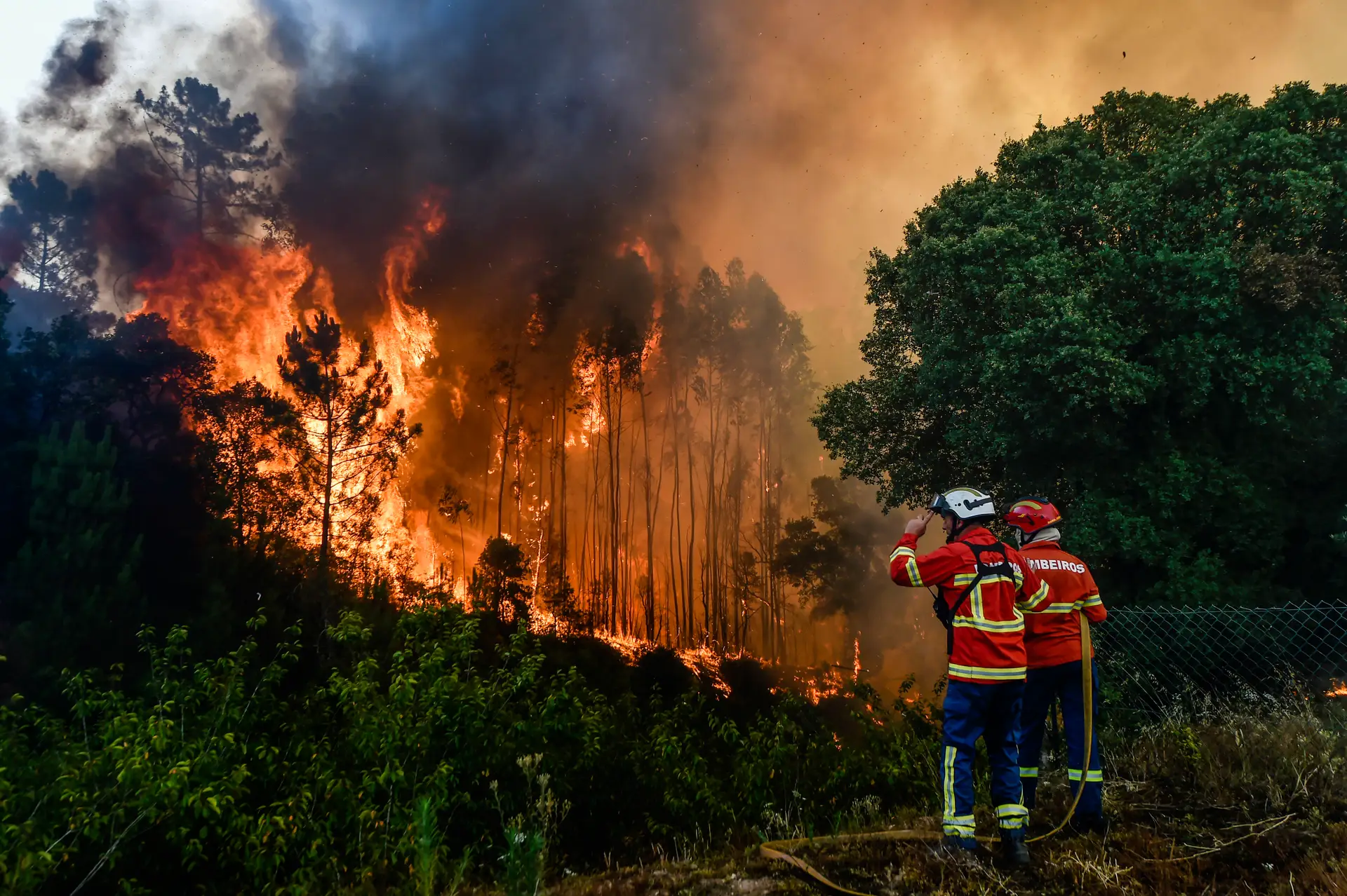 Plano de Dispositivo Especial de Combate a Incêndios Rurais já esta no terreno