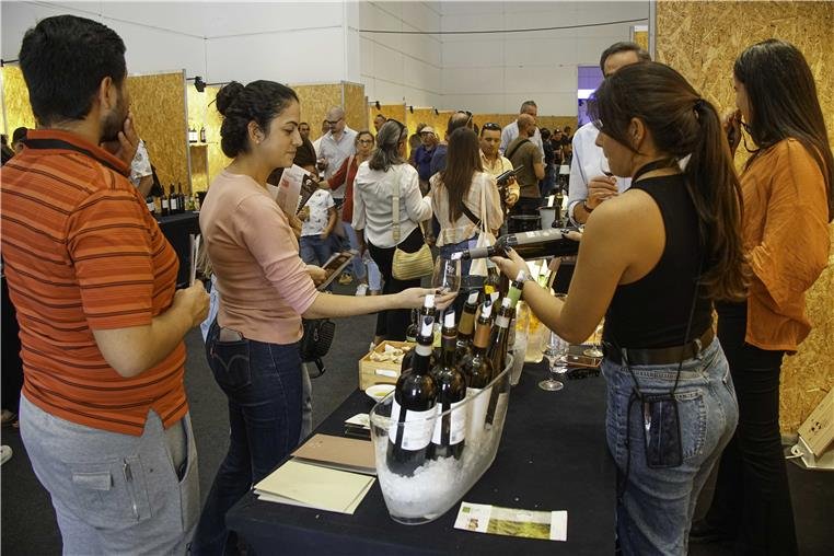 BEJA: Vinipax abre portas no dia 5 de outubro