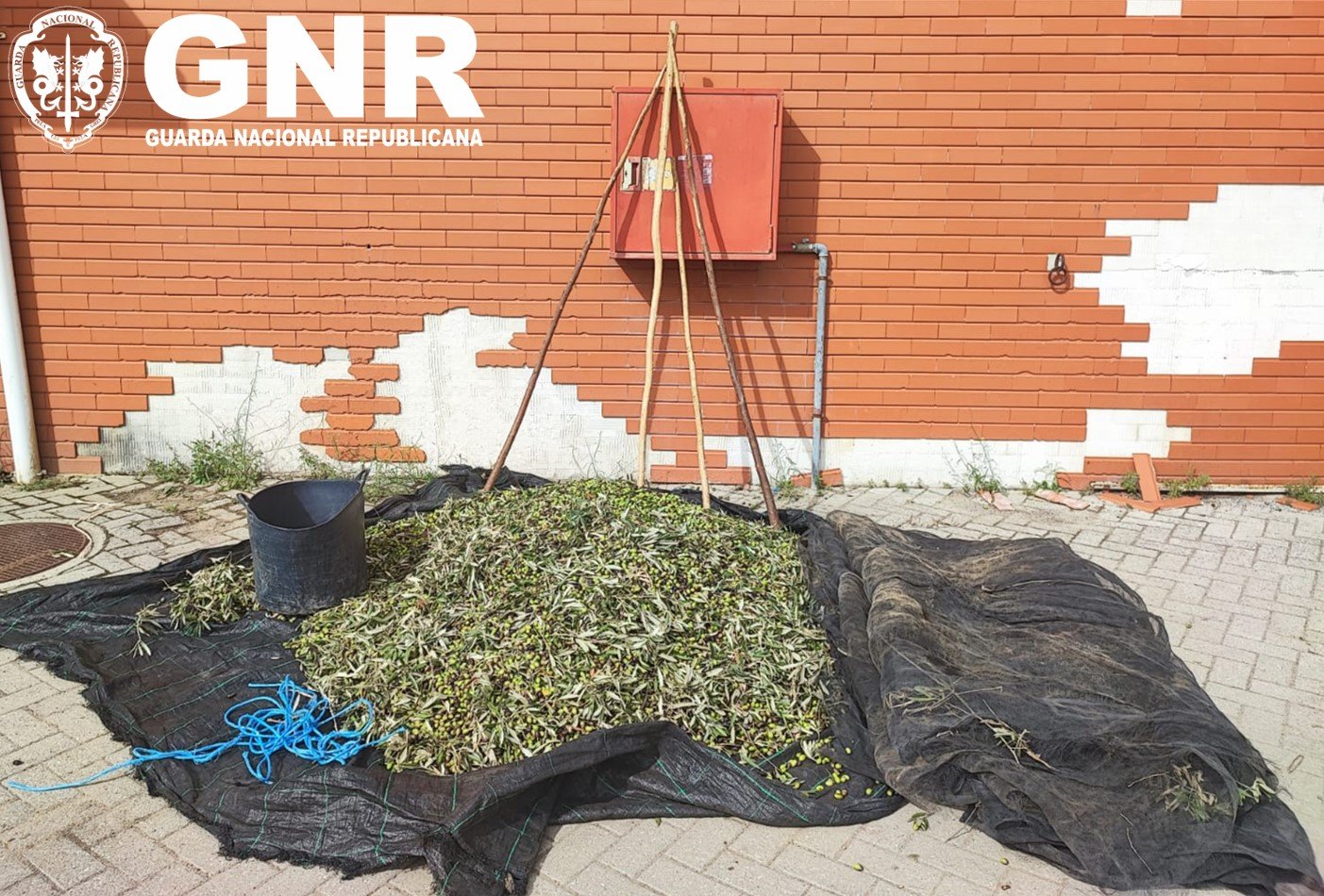 GNR Beja - Apreensão (6)