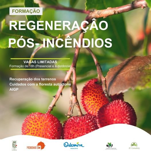 Odemira: Inscrições abertas para Formação em Regeneração pós-incêndios