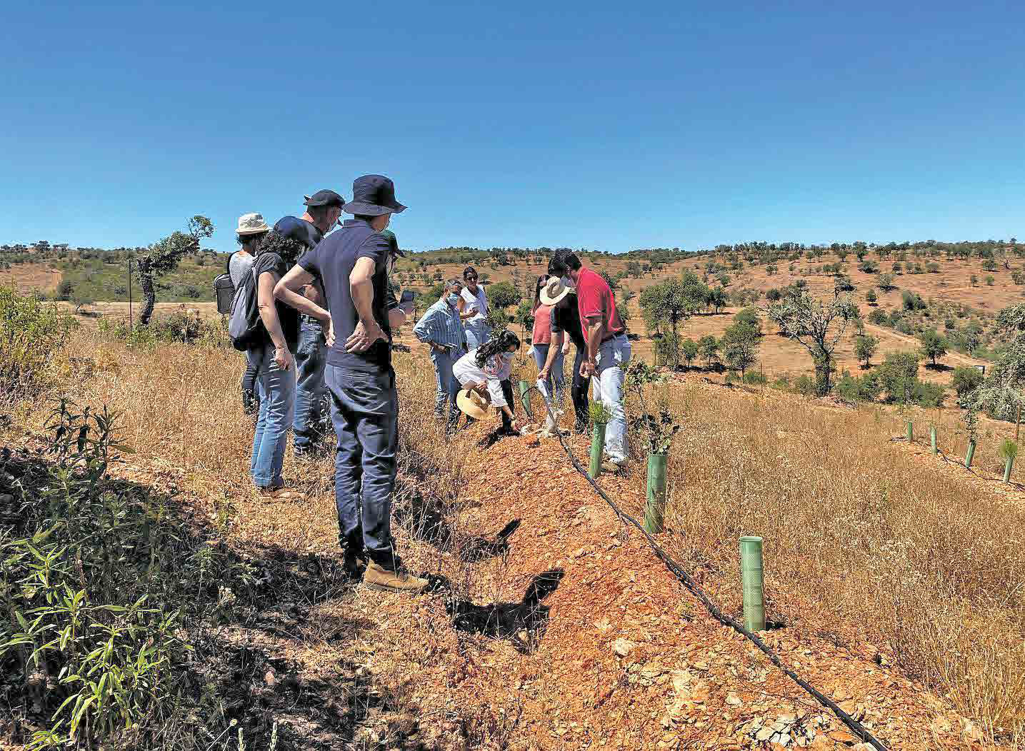 “A agricultura de Sequeiro está a viver um momento historicamente preocupante” diz João Madeira
