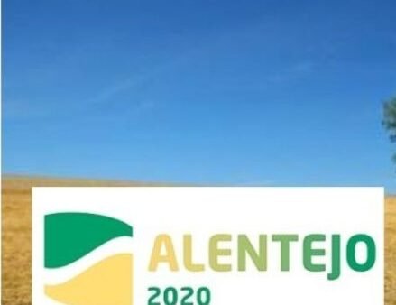 Programa Alentejo 2020 atingiu uma taxa de execução de 91,6%