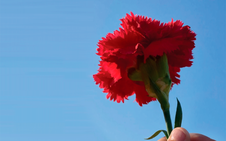 Almodôvar celebra 25 de Abril com três dias de programação cultural, institucional e musical