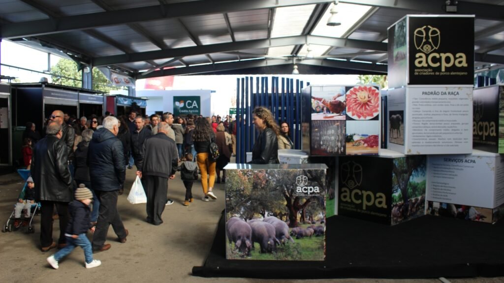 Ourique-Feira-do-Porco-2-1024x576