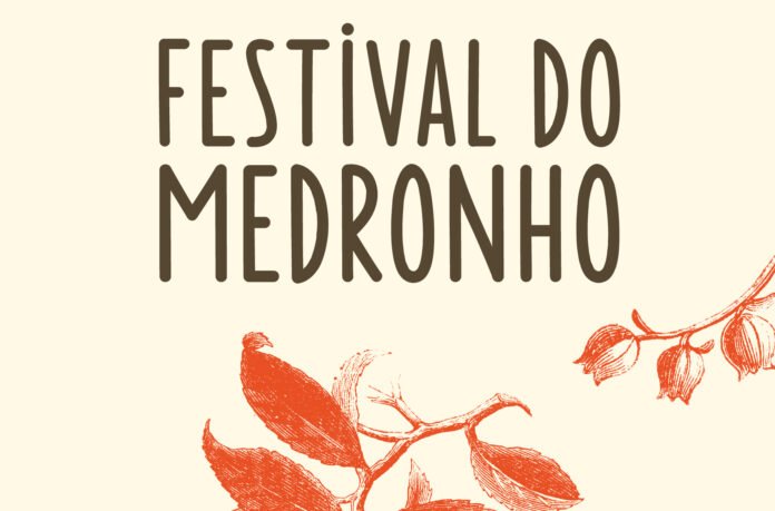 Medronho SW Flyer A5 Festival 2024 AF