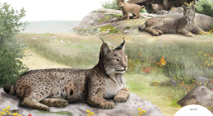 Cartaz Ferreira do Alentejo