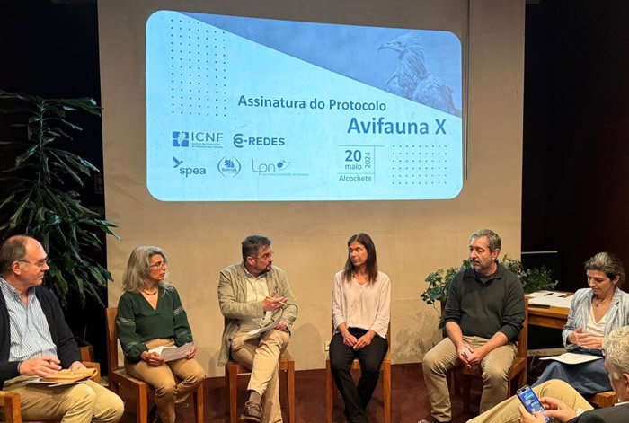 E-REDES renovou protocolo Avifauna com a LPN e ICNF