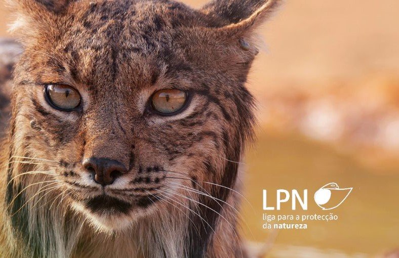 Organizações ambientais pedem abertura urgente de candidaturas para apoiar agricultores que beneficiam a biodiversidade