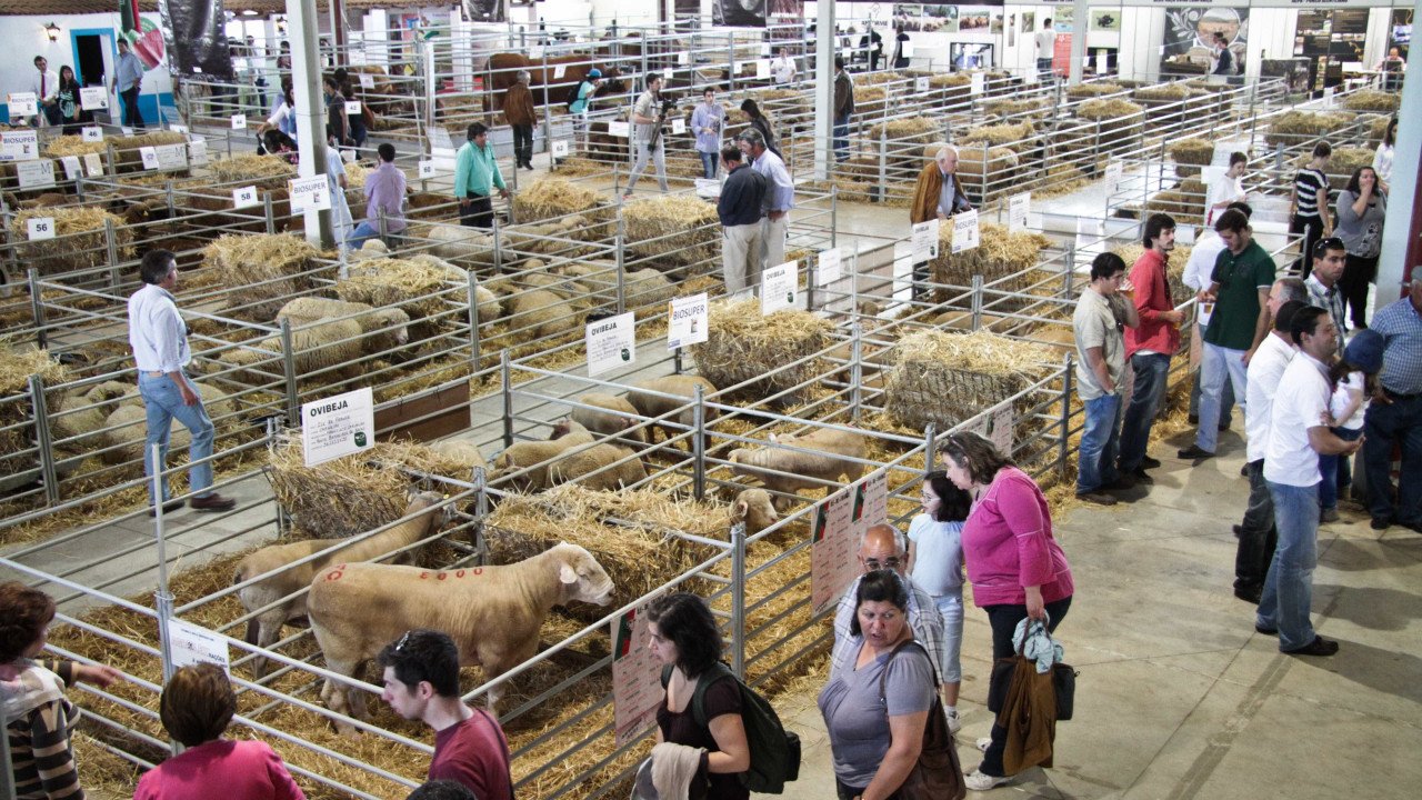 41ª edição da Ovibeja marcada pela realização de muitos colóquios sobre o setor