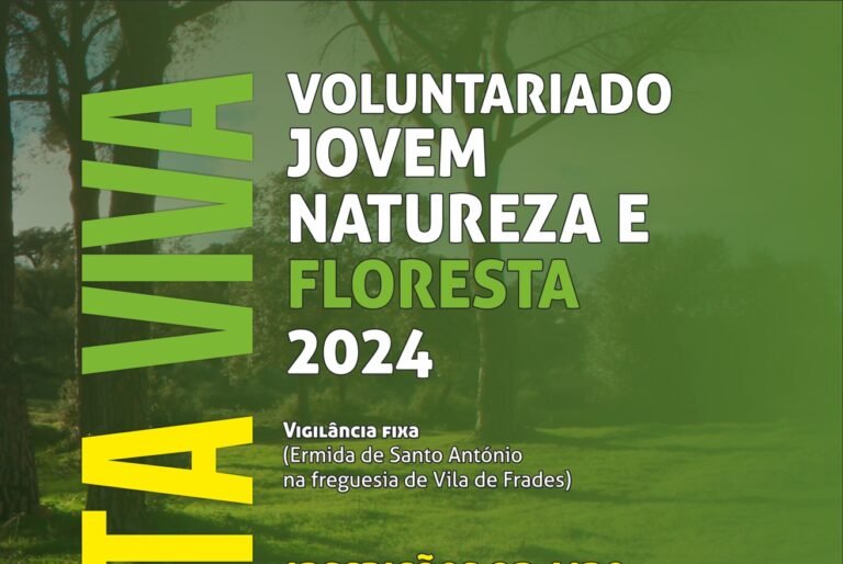 Vidigueira tem abertas inscrições para o projeto “Floresta Viva”