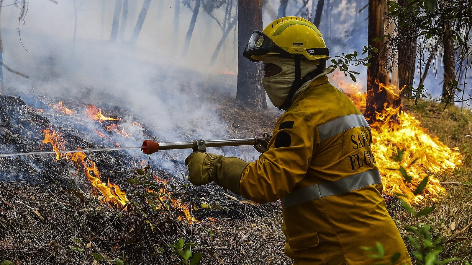Federação dos Bombeiros do Distrito de Beja alerta para risco acrescido de fogos neste Verão