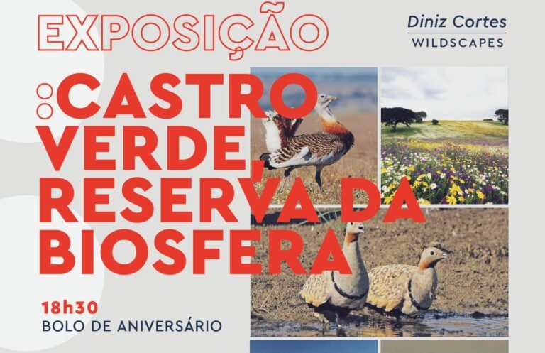 7º Aniversário da Classificação de Castro Verde como Reserva da Biosfera pela UNESCO assinala-se esta sexta-feira