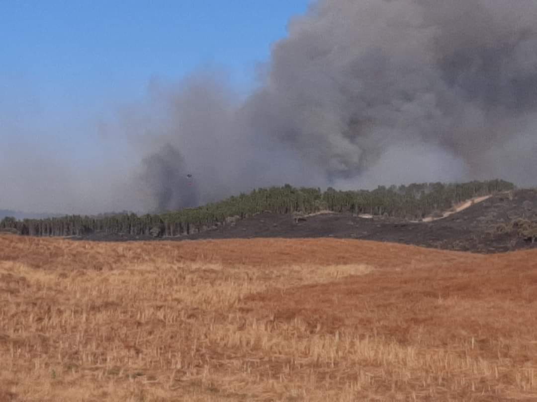 Incêndio de Messejana está dominado, mas ainda tem três frentes ativas