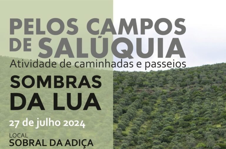 Moura: “Sombras da Lua” é a próxima atividade da iniciativa “Pelos Campos de Salúquia”