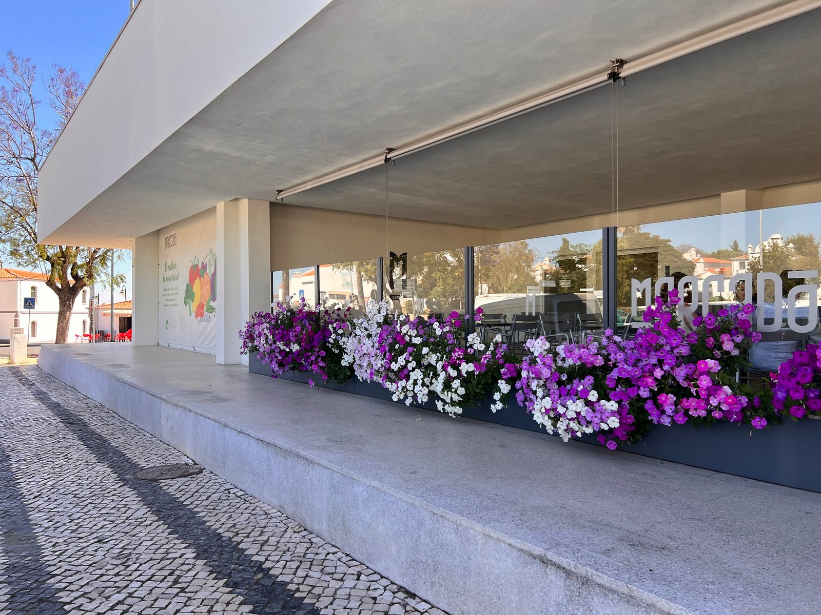 Serpa abriu procedimento para atribuição de lugares de venda no Mercado Municipal