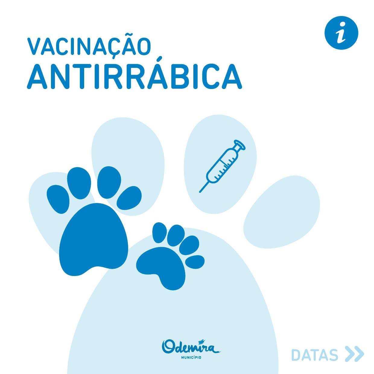 Odemira promove campanha de vacinação antirrábica de julho a setembro