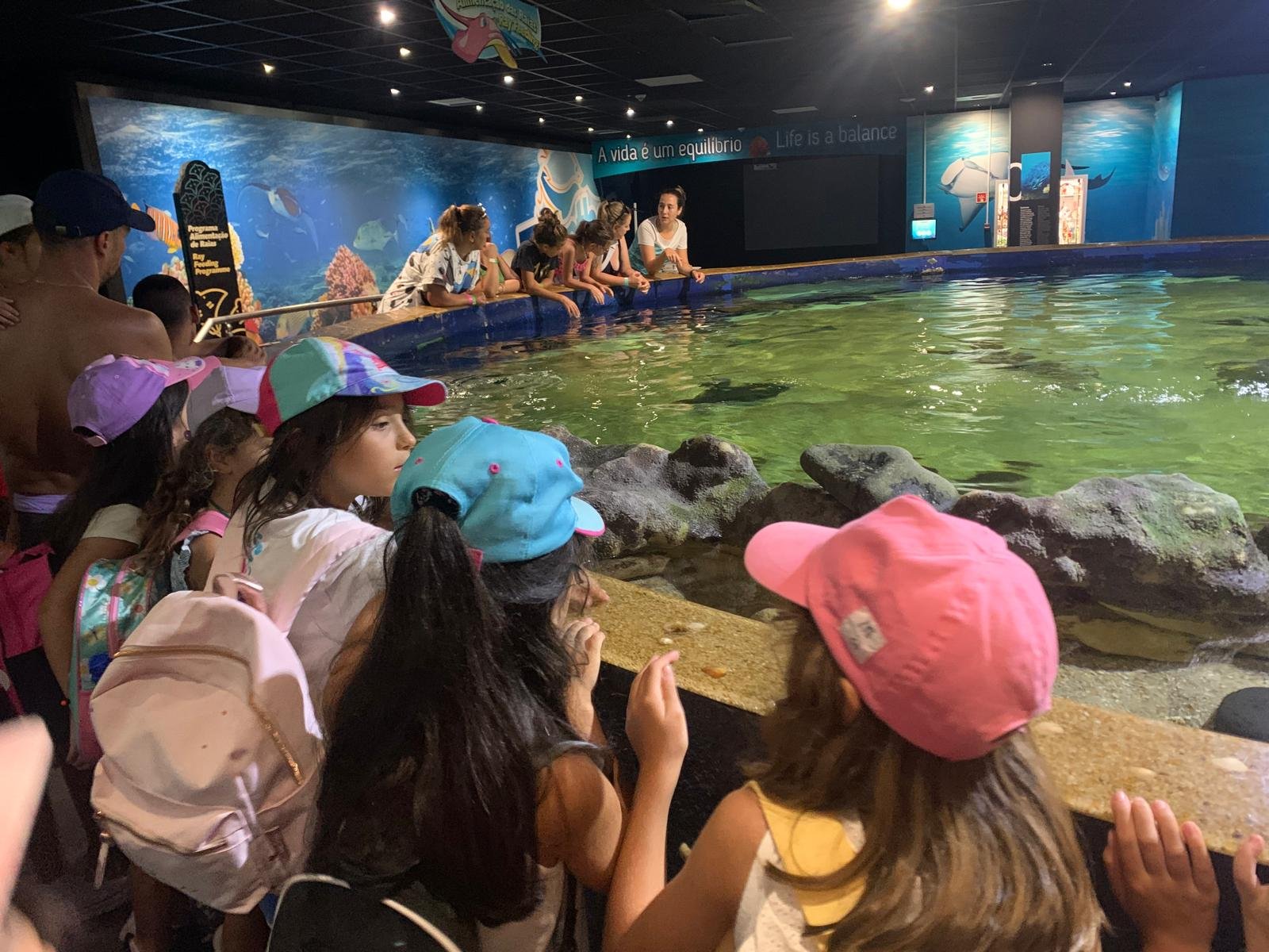 Crianças dos ATL de Castro Verde visitaram o Zoomarine