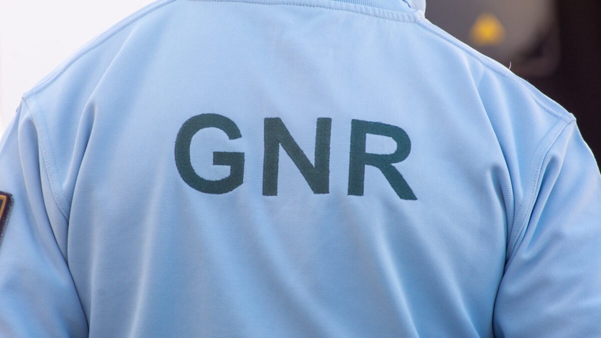 Mértola: GNR de Almodôvar aprendeu 786 quilogramas de haxixe e deteve dois homens – Vão amanhã a Tribunal (Com vídeo)