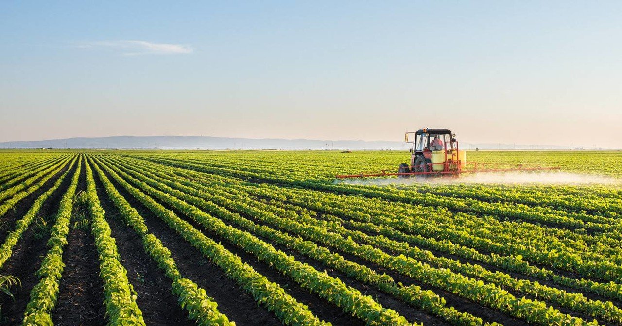 2024 foi “um ano muito mau para o sector agrícola” afirma Joaquim Manuel