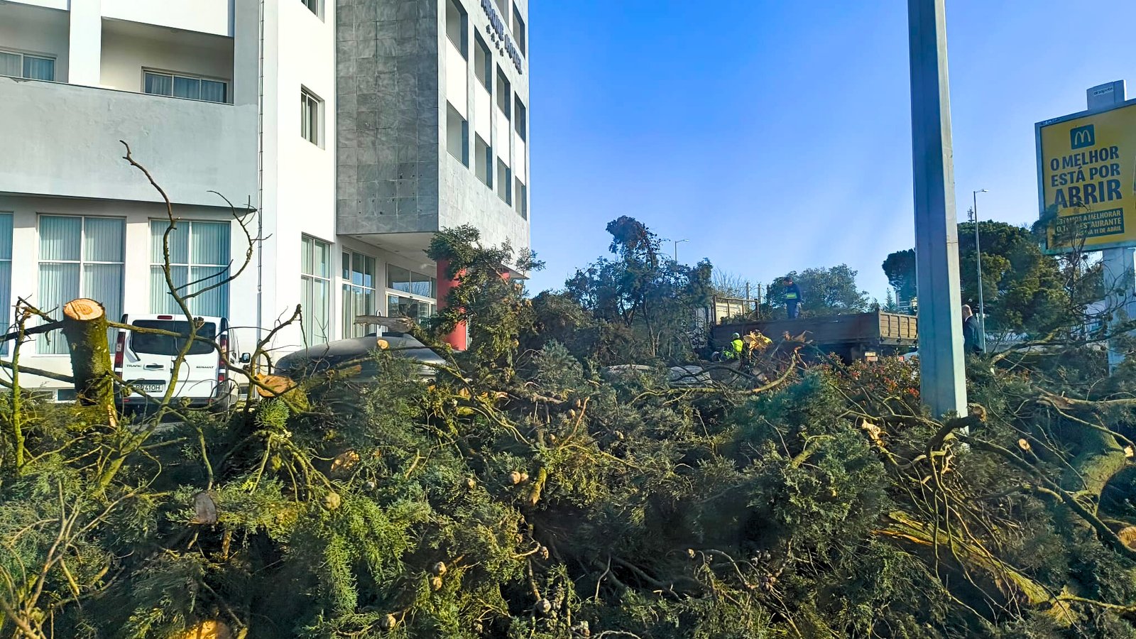 Tempestade Kristin provoca quedas de árvores e ocorrências no concelho de Beja