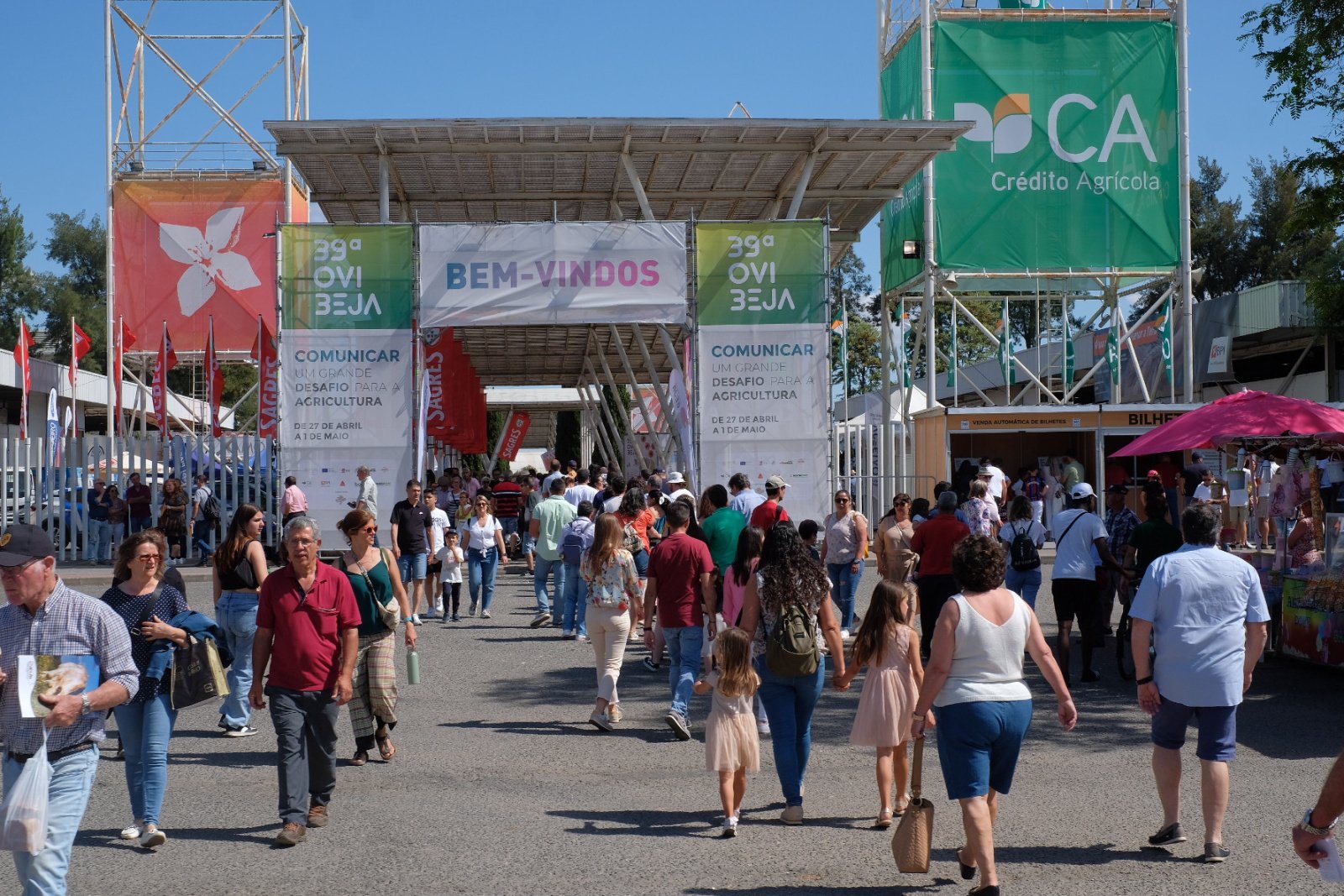 A Ovibeja “tem que manter a sua essência” afirma Rui Garrido