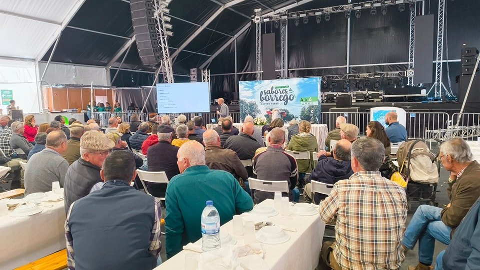 Doença da língua azul “tem muitos e preocupantes rostos” dizem produtores