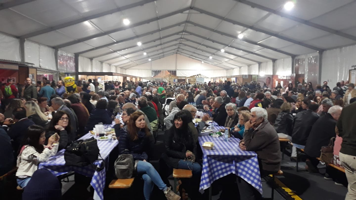 Festival Sabores do Borrego arranca hoje em Castro Verde – Evento “reforça a identidade local”
