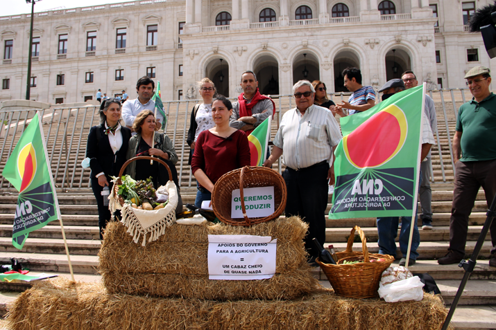Agricultores defendem “maior aposta na produção nacional”