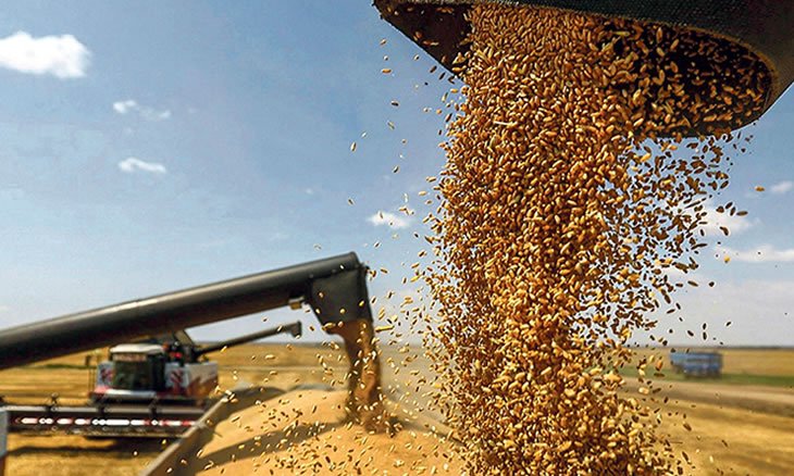 A CNA diz que Portugal tem uma reserva cerealífera que “não dá para alimentar a população mais do que quinze dias”