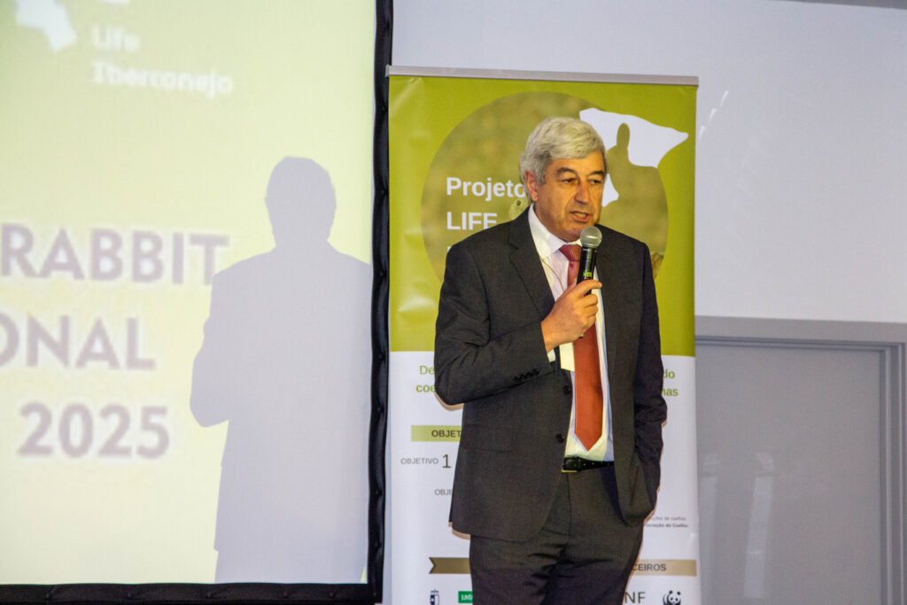 Projeto ibérico salva coelhos-bravos mas há ainda muito trabalho fazer, admitem os especialistas