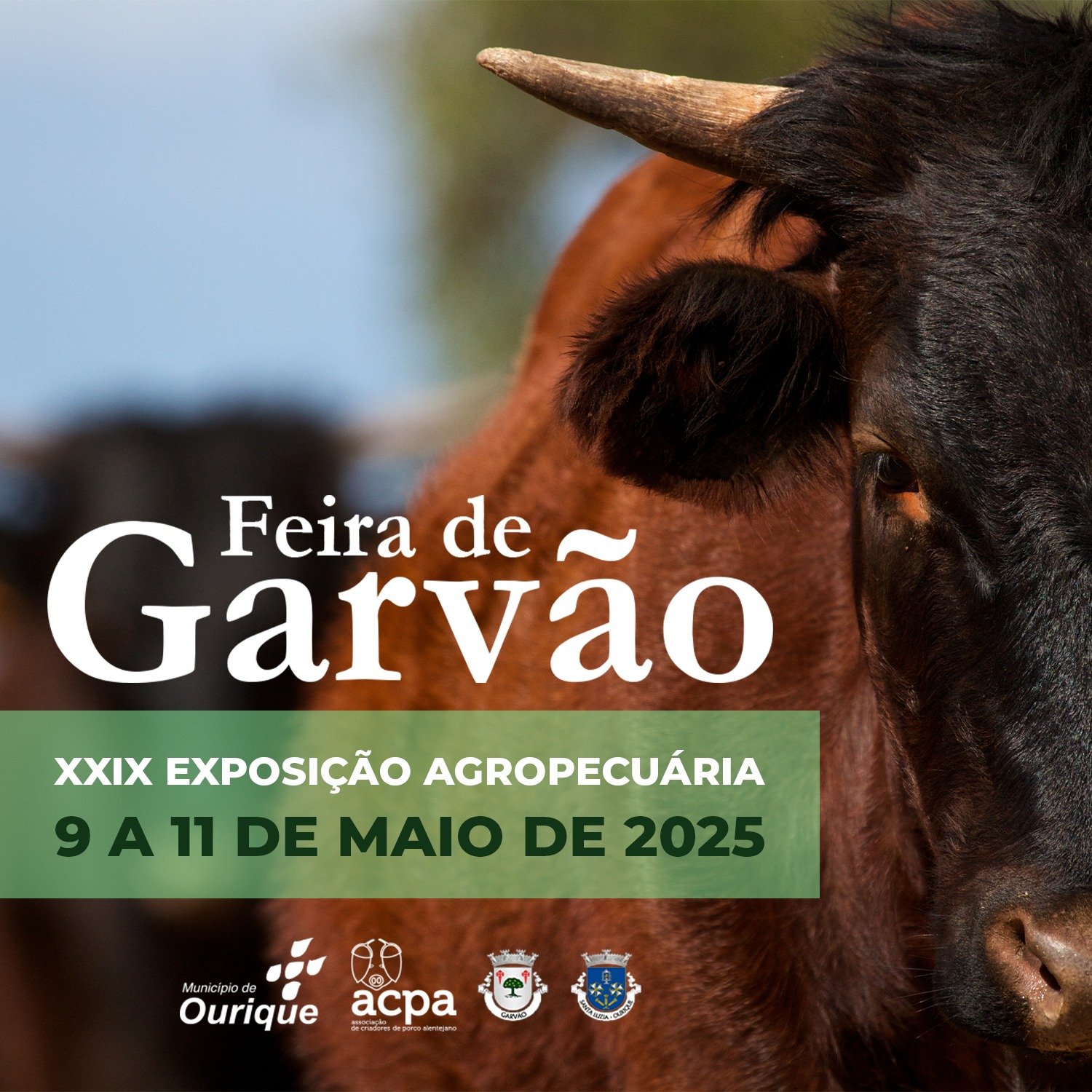 Feira de Garvão regressa de 9 a 11 de maio