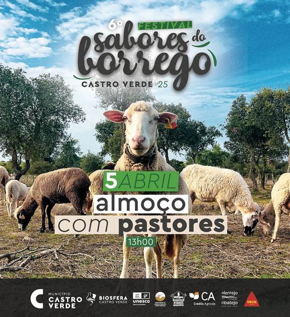 Almoço-Convívio reúne 250 pastores e produtores do Campo Branco durante o Festival Sabores do Borrego