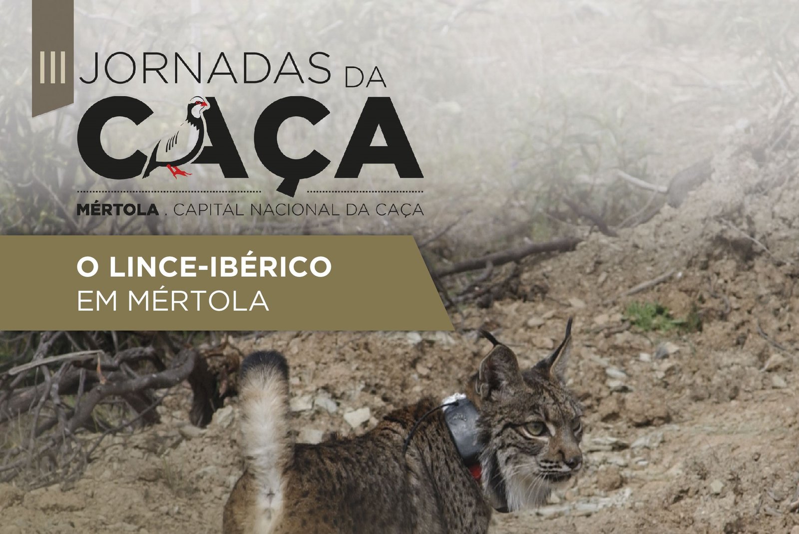 Mértola: Jornada da caça de abril tem Lince-ibérico como protagonista