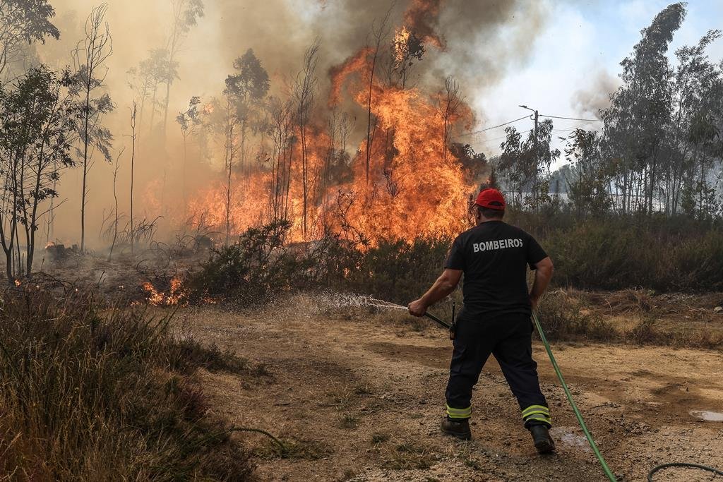 Federação de Bombeiros do Distrito de Beja assume que “vai ser um Verão complicado”