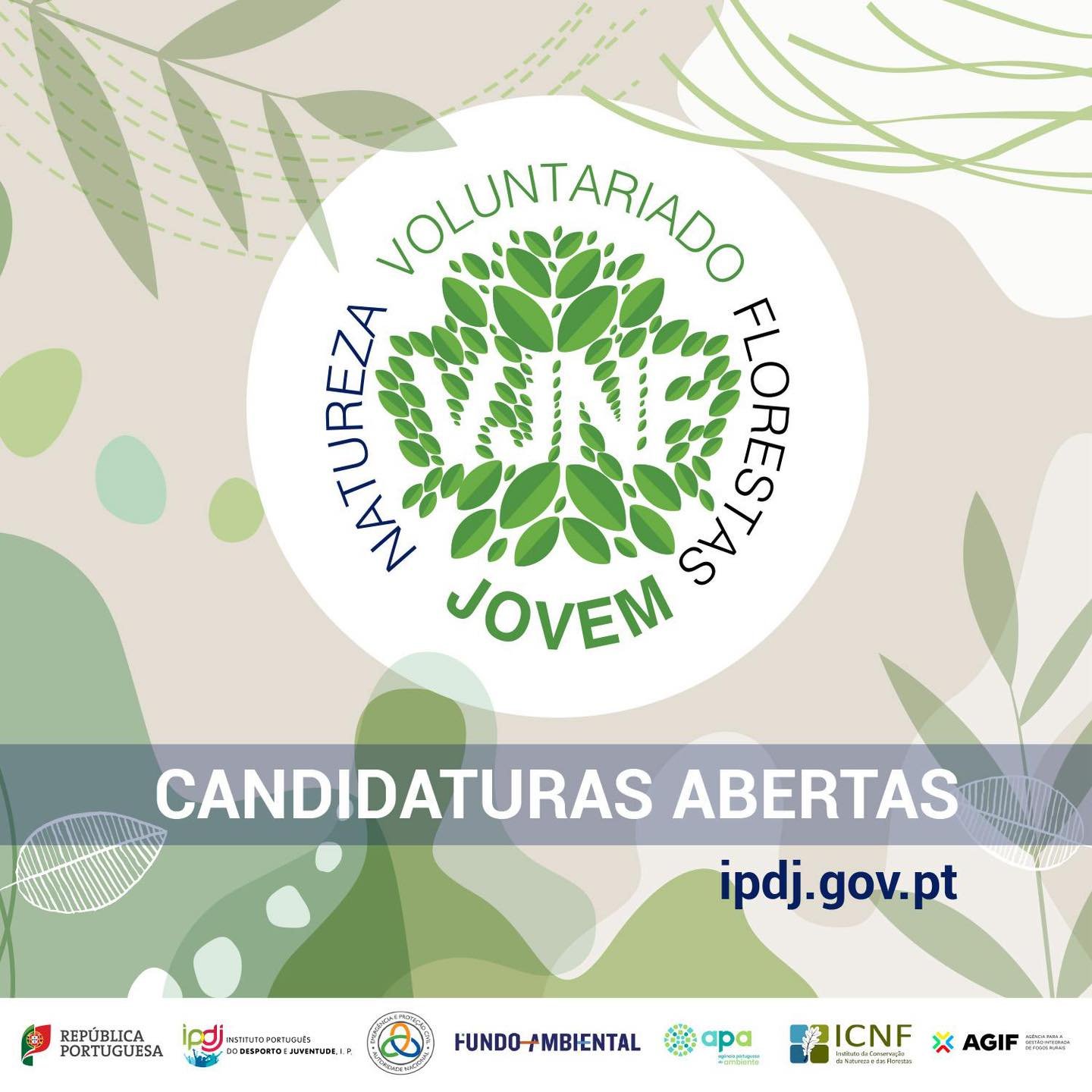 500851134_1150031093819082_4000885812507946301_n